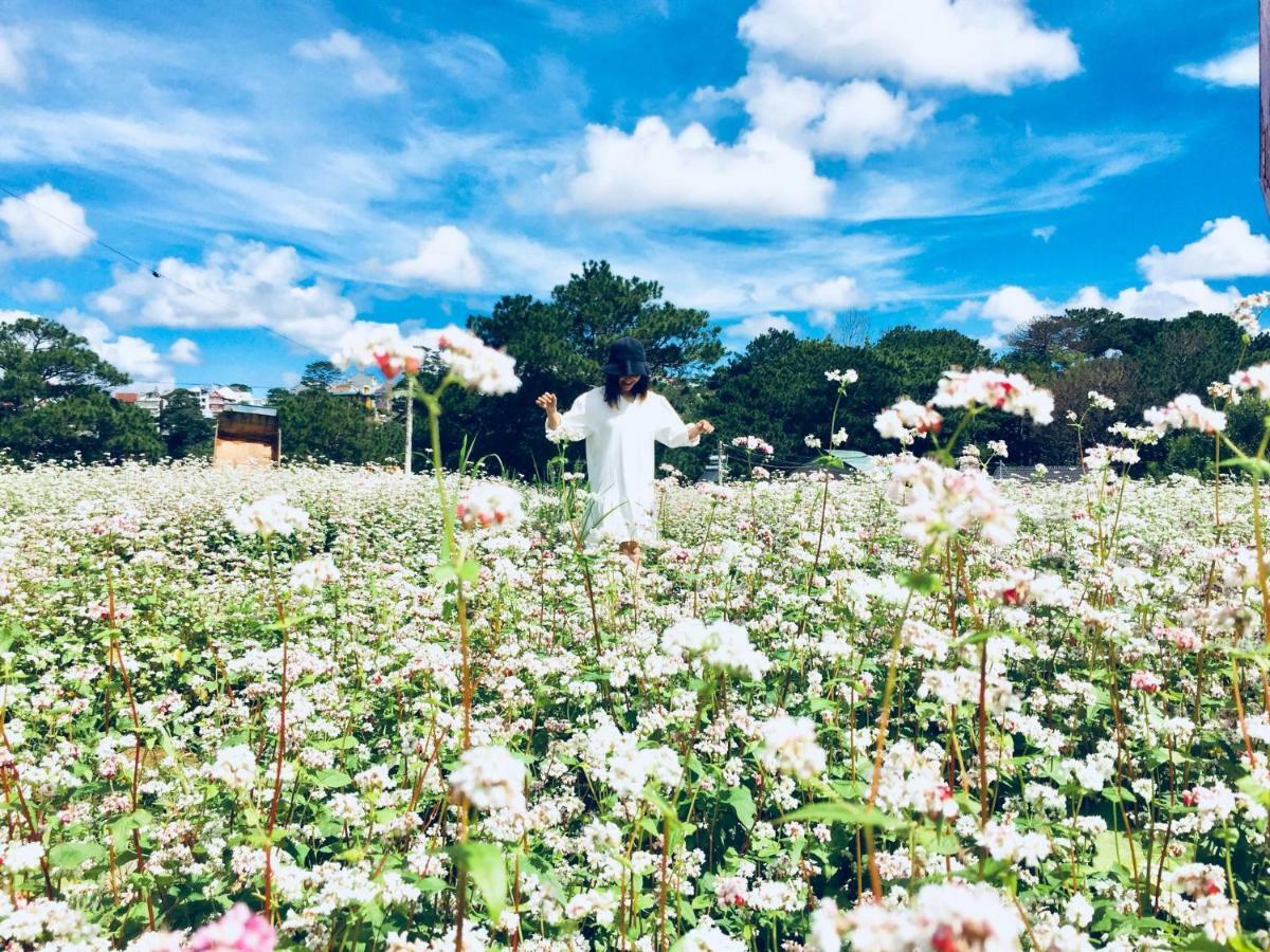 The Kupid Hill Homestay Dalat Bagian luar foto